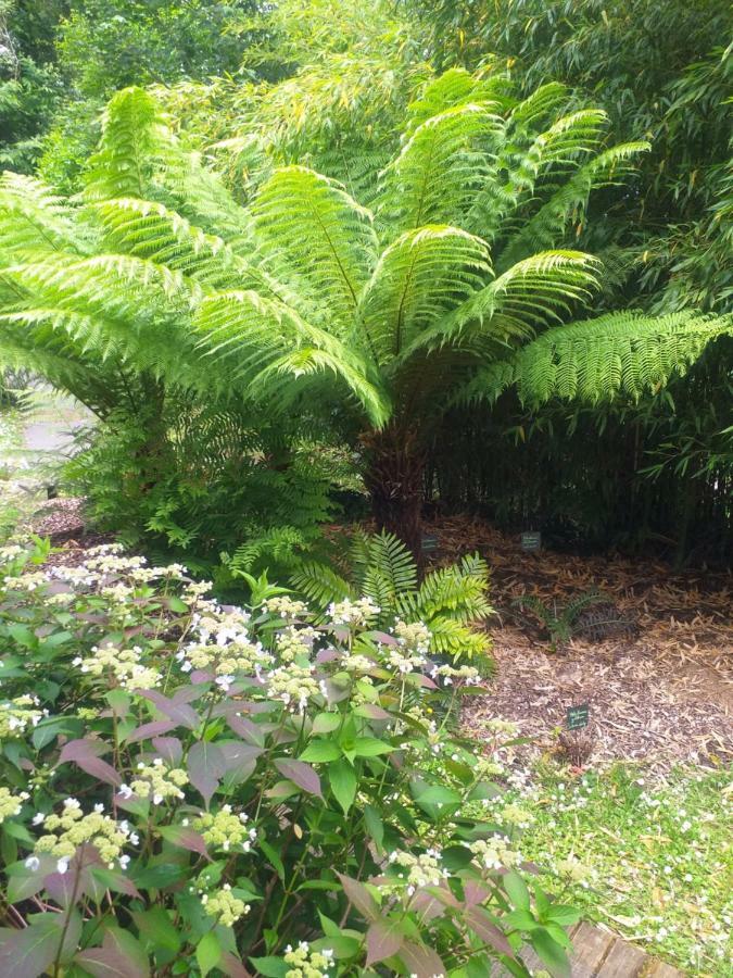 Un Jardin En Pente Douce Villa Locquenole Bagian luar foto