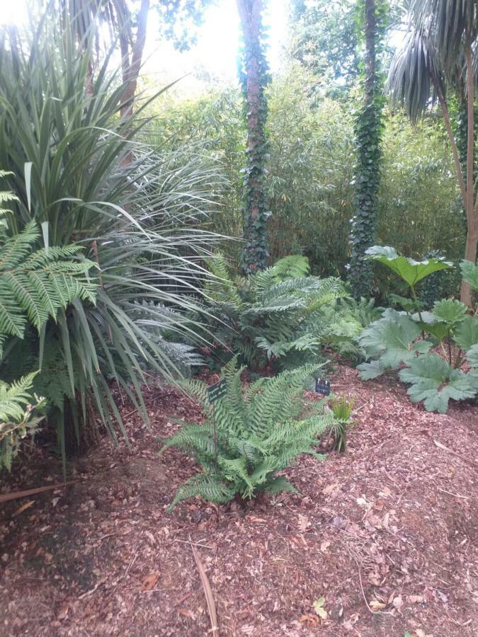 Un Jardin En Pente Douce Villa Locquenole Bagian luar foto